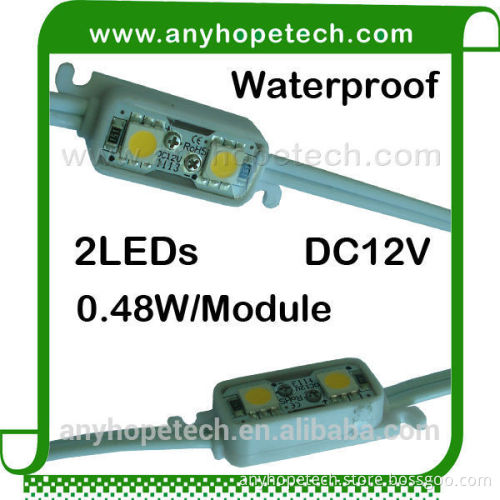 Chinese best reliable factory SMD5050 DC12V 2LEDs smd led driver module